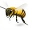 Picture of Mandt Honey Works honey bee